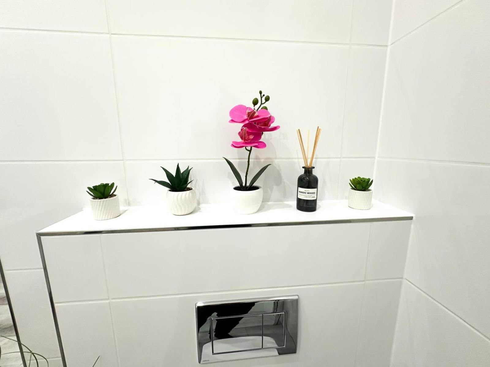 Vibe S32 Apartman,ac,free Parking