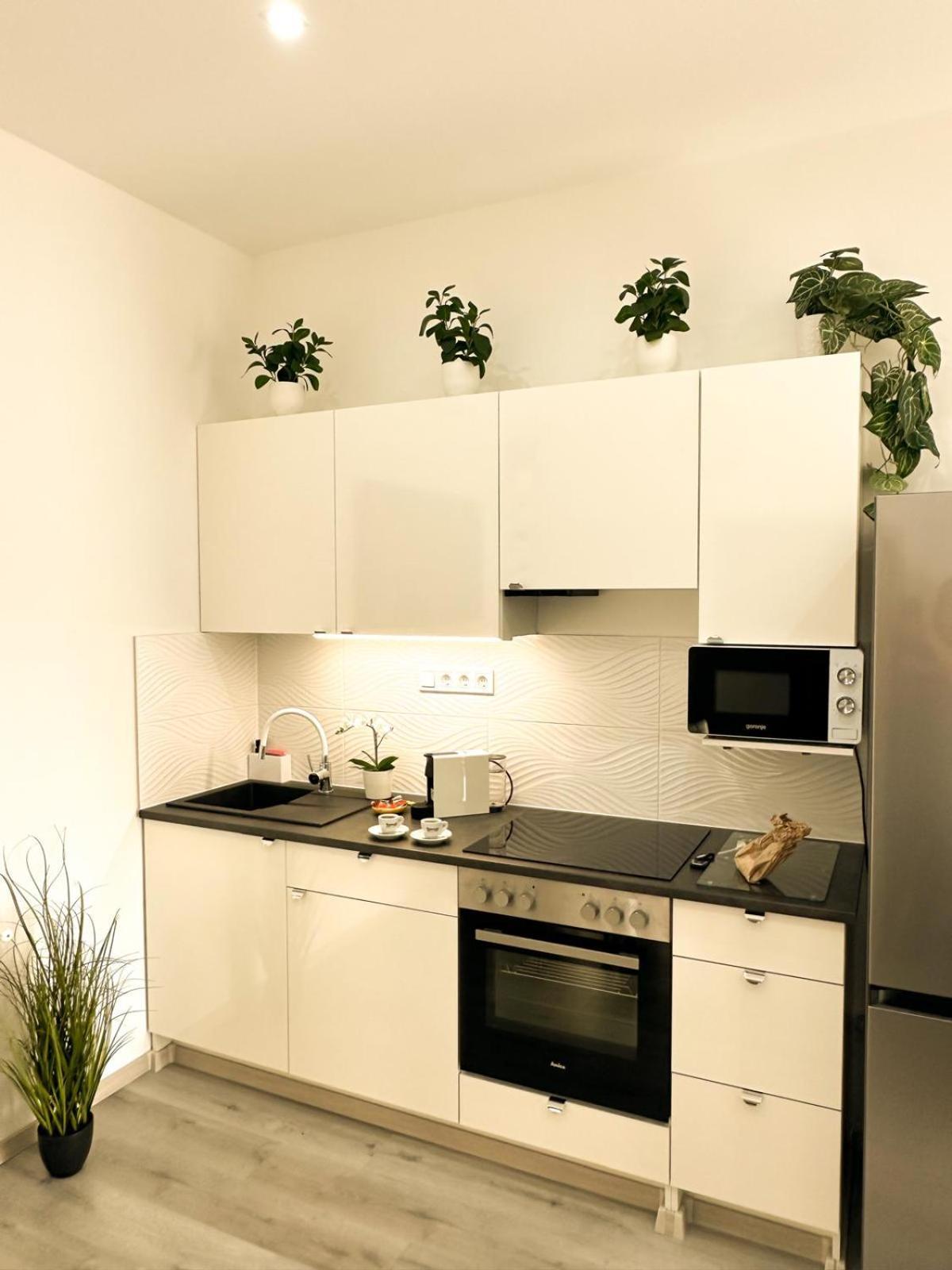 Vibe S32 Apartman,ac,free Parking *